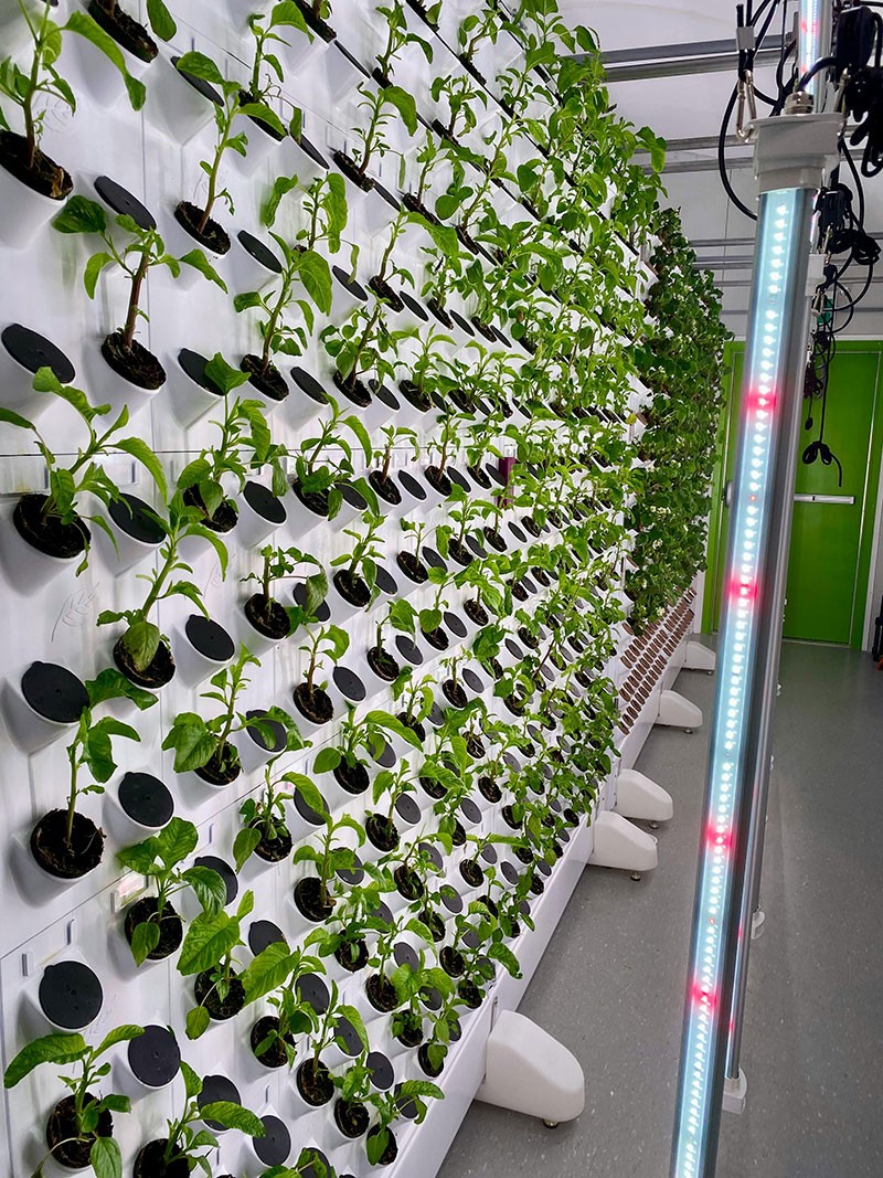How-Will-Agri-Tech-Evolve