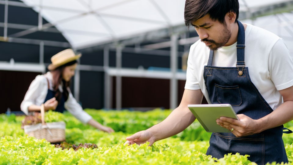 GROWTECH-5