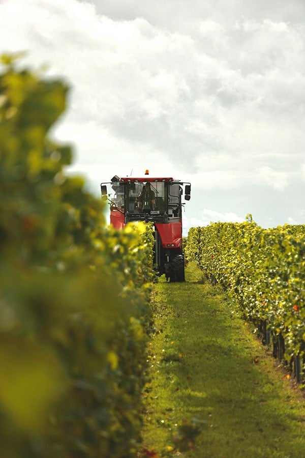 Whats-Driving-Global-Agriculture-in-2025