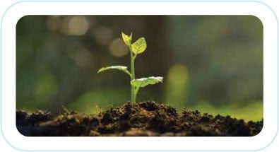 Government-Support-Initiatives