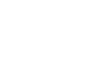 facts_visitors