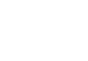 facts_companies